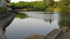 lake in campus